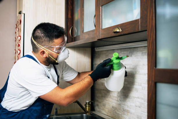 Best Emergency Pest Control  in Saranac, MI