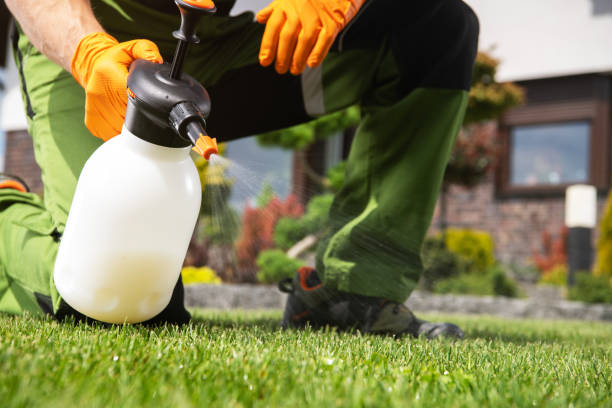 Best Pest Prevention Services  in Saranac, MI