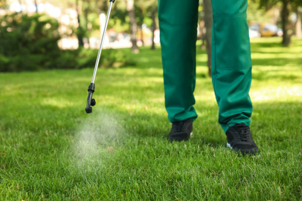 Best Wildlife Control Services  in Saranac, MI