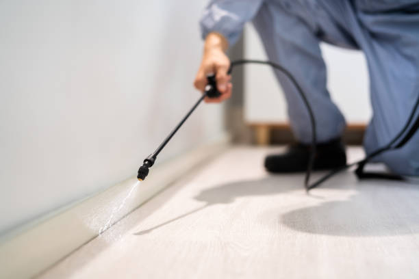 Best Affordable Pest Control Services  in Saranac, MI