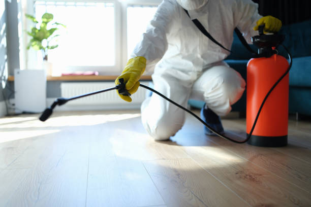 Best Local Pest Control Services  in Saranac, MI