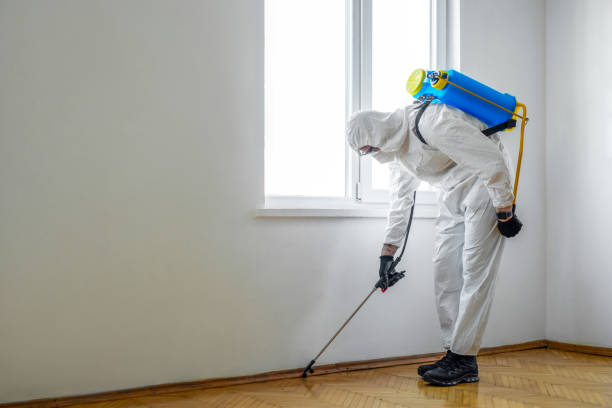 Wildlife Control Services in Saranac, MI