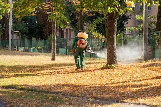 Best Termite Control Services  in Saranac, MI
