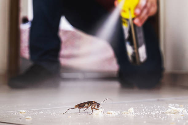 Best Wildlife Control Services  in Saranac, MI
