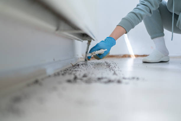 Pest Prevention Services in Saranac, MI